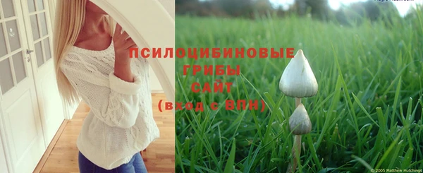 амф Наволоки