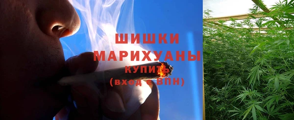 PSILOCYBIN Навашино