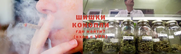 PSILOCYBIN Надым