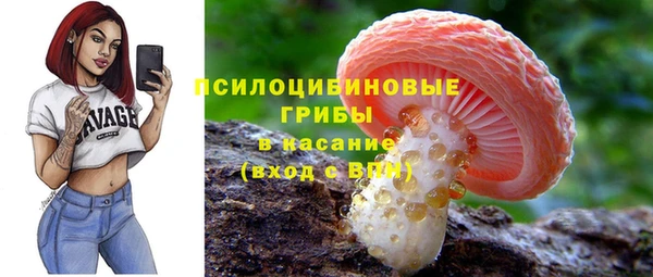 PSILOCYBIN Навашино