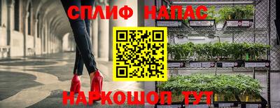 мдпв Гагарин