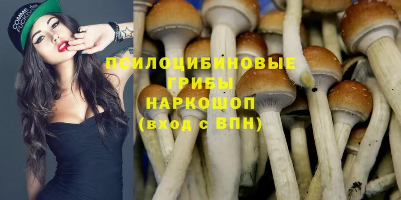 Псилоцибиновые грибы Cubensis  купить наркотик  Ишим 